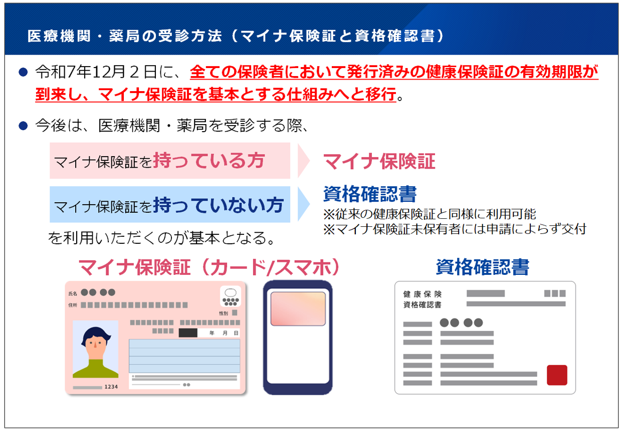 ナレッジ記事ビュー - 医療機関等向け総合ポータルサイト